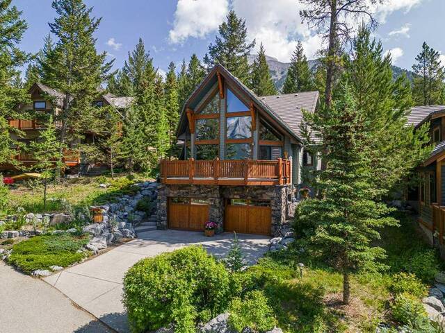 21 blue grouse Ridge Canmore