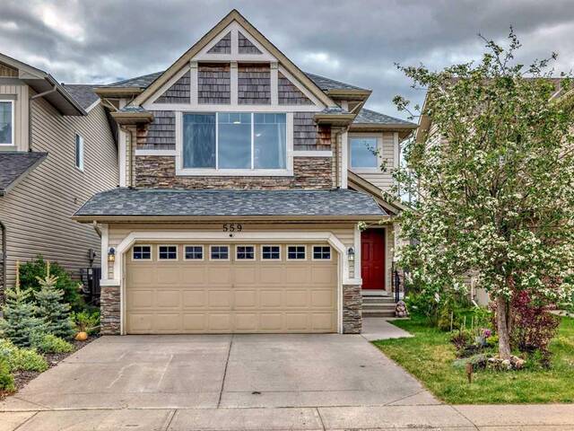 559 Auburn Bay Heights SE Calgary