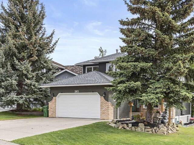 203 Shawnee Mews SW Calgary