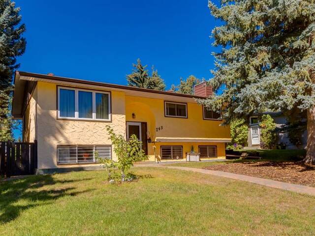 243 Silver Brook Way NW Calgary