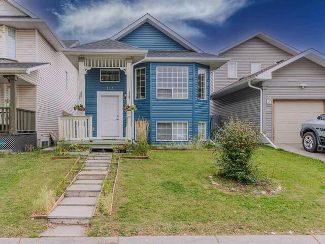 113 Martinridge Crescent NE Calgary