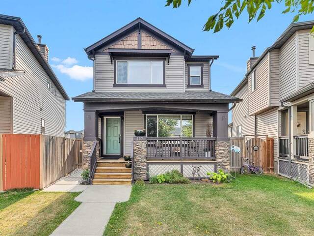 197 Saddlebrook Way NE Calgary