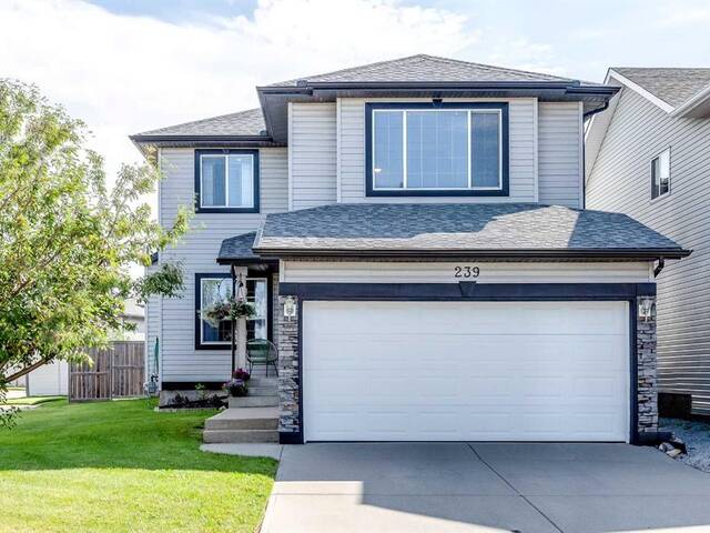 239 Citadel Meadow Bay NW Calgary