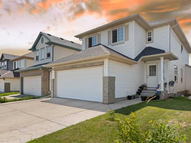 167 Saddlehorn Close NE Calgary