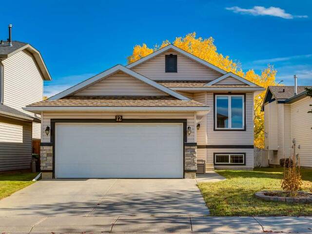 12 Big Springs Rise SE Airdrie