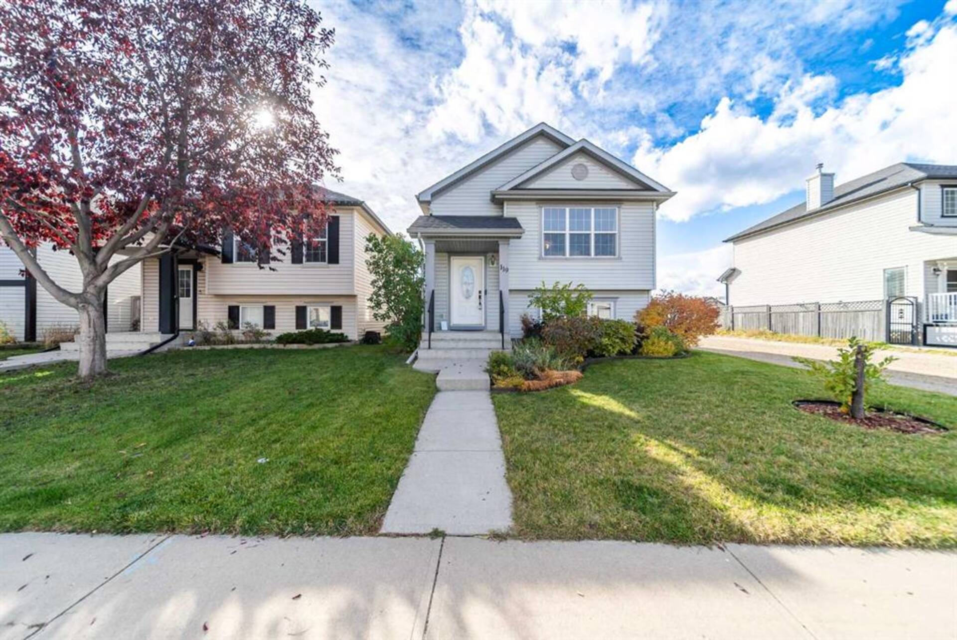 119 Copperfield Heights SE Calgary