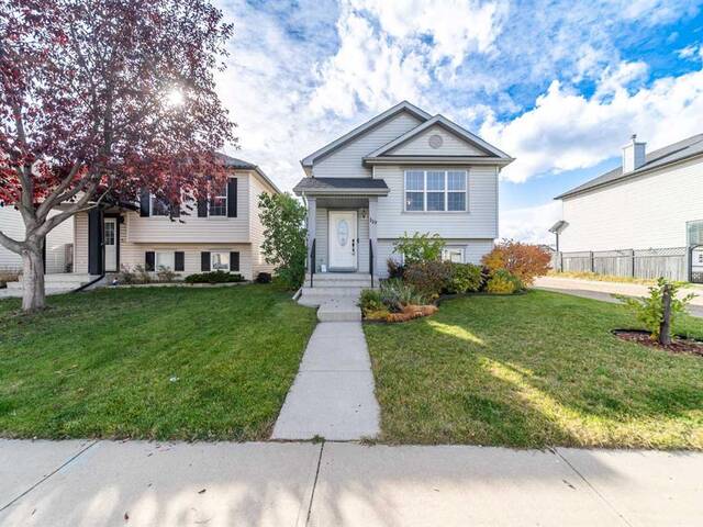 119 Copperfield Heights SE Calgary