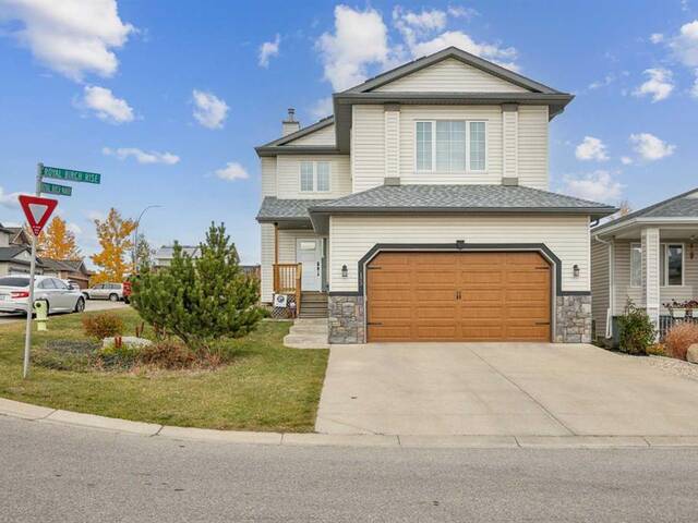 133 Royal Birch Rise NW Calgary