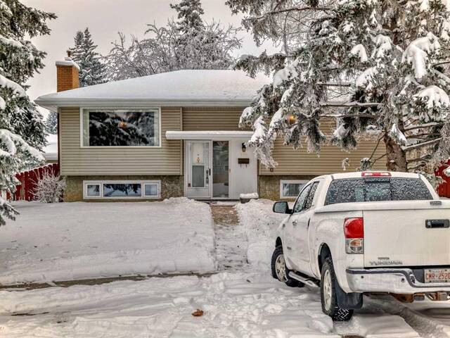 104 Brazeau Crescent SW Calgary