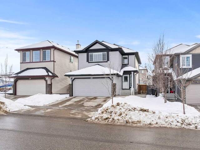 210 Saddlemont Boulevard NE Calgary