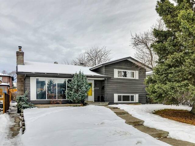 2539 19 Street SW Calgary