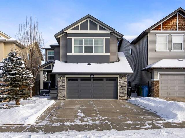 161 Everoak Circle SW Calgary